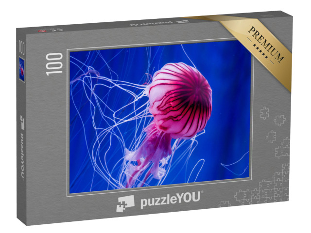 puzzle 100 dílků „Růžové medúzy na pozadí modrého moře“