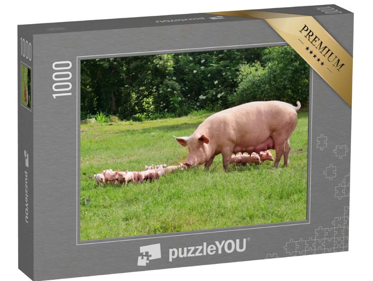 puzzle 1000 dílků „Matka prasnice se selaty na zelené louce“