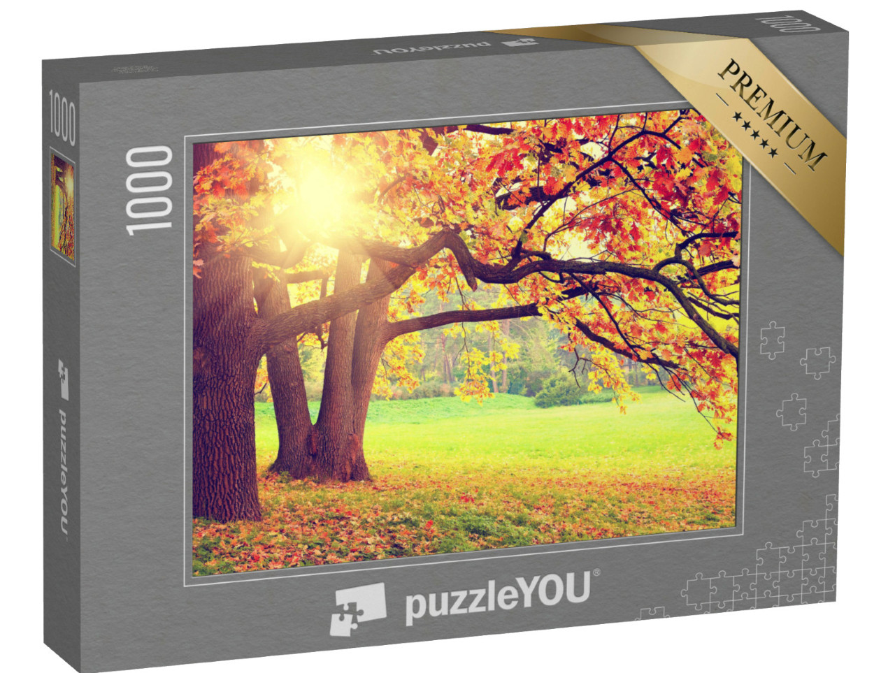 puzzle 1000 dílků „Podzimní krajina se starými stromy“