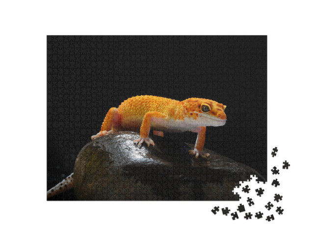 puzzle 1000 dílků „Gekon, ještěrka, gekon leopardí“