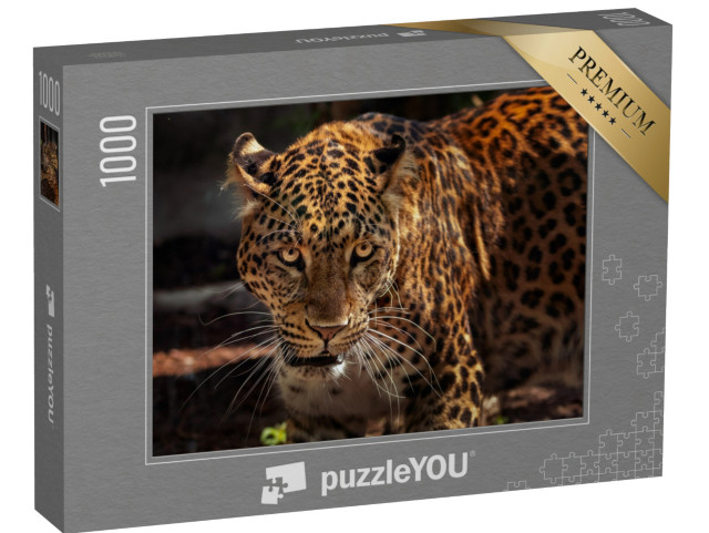 puzzle 1000 dílků „Obraz silného jaguára jako lovce“