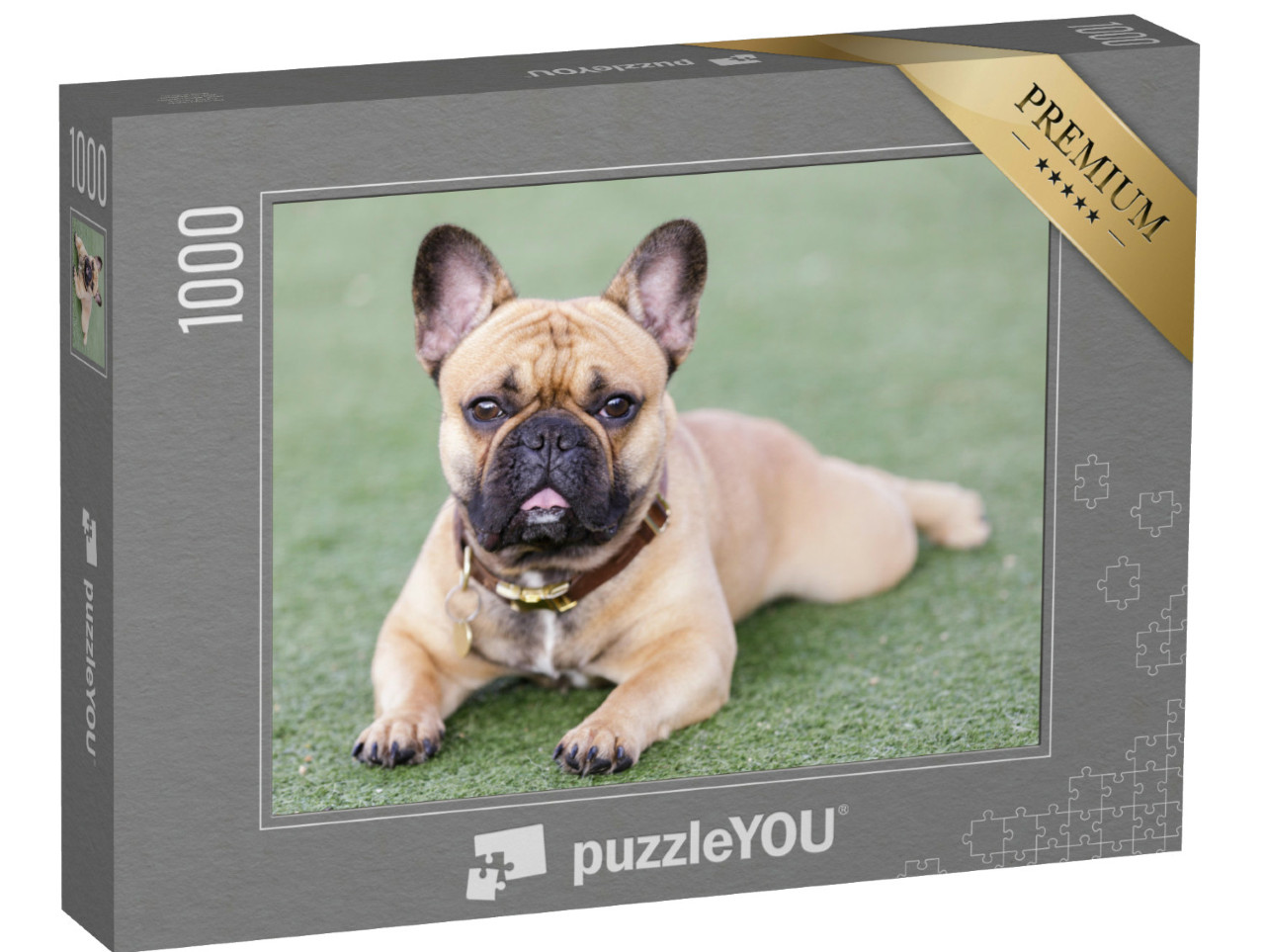 puzzle 1000 dílků „Štěně francouzského buldočka“