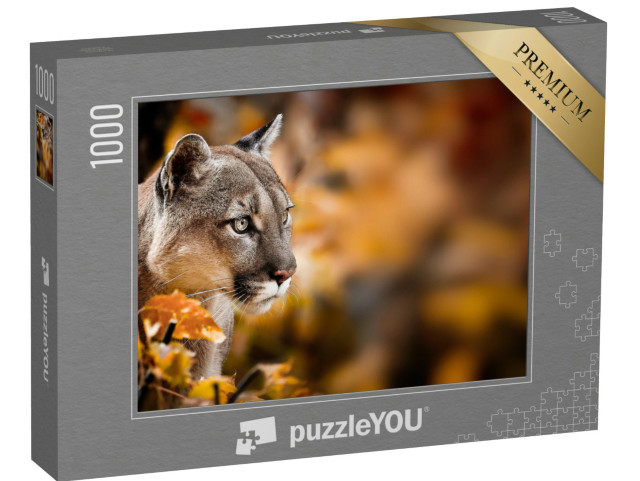 puzzle 1000 dílků „Puma, známá také jako puma.“