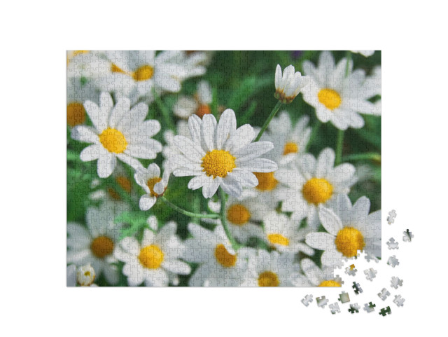 puzzle 1000 dílků „Krásné jarní květiny“
