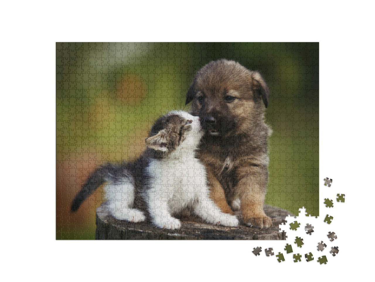 puzzle 1000 dílků „Přátelství: štěně a kotě“