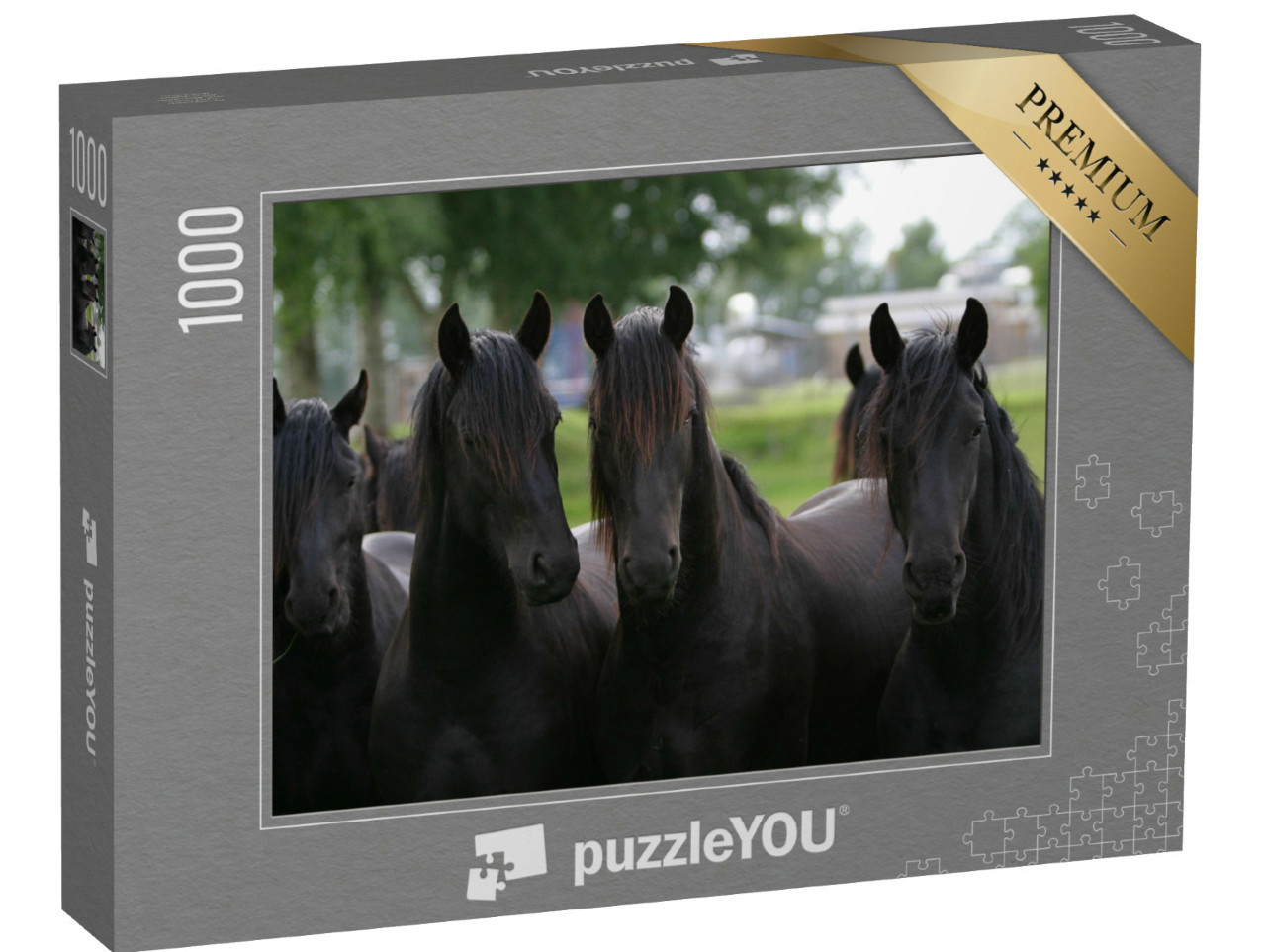 puzzle 1000 dílků „Fríští mladí hřebci“