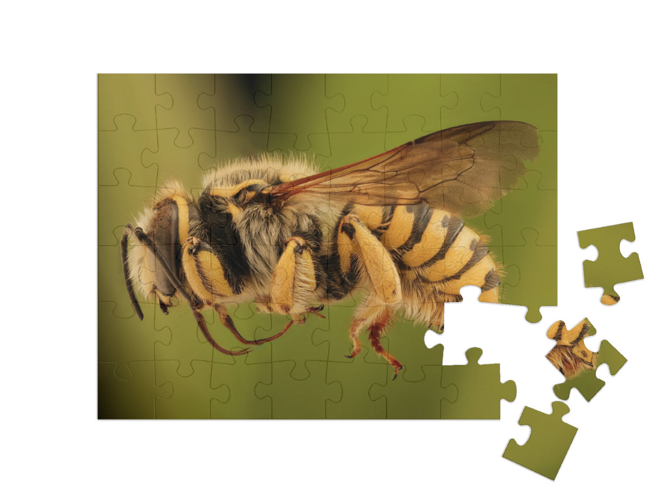 puzzle 48 dílků „Létající včela“