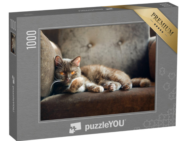 puzzle 1000 dílků „Domácí kočka na křesle“