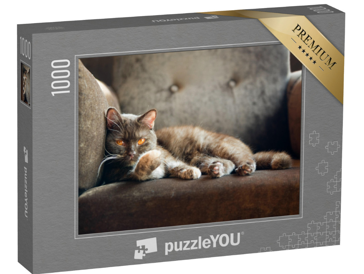 puzzle 1000 dílků „Domácí kočka na křesle“