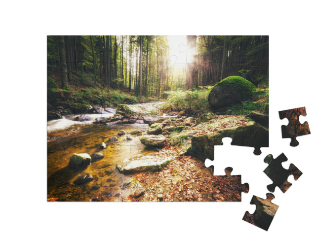 puzzle 48 dílků „Slunečný den u potoka v údolí Ilse, pohoří Harz“
