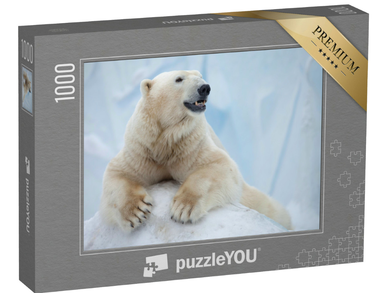 puzzle 1000 dílků „Portrét velkého ledního medvěda na ledě“