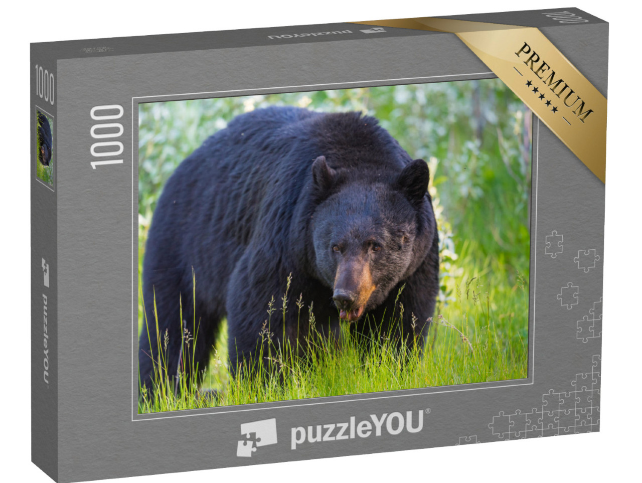 puzzle 1000 dílků „Divoký medvěd černý v národním parku Banff a Jasper, Kanada“