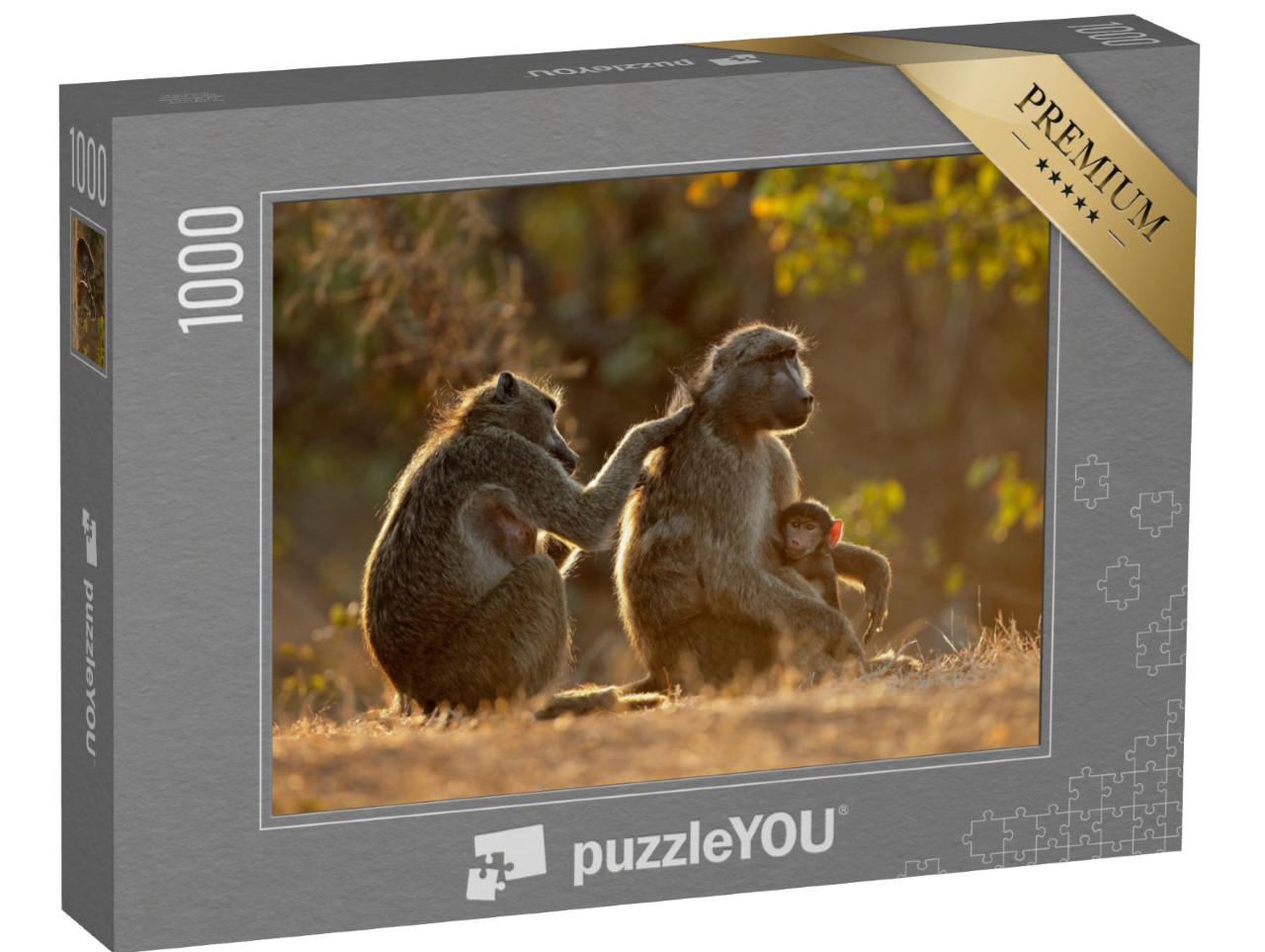 puzzle 1000 dílků „Rodinný život s paviány Chacma, Krugerův národní park, Jihoafrická republika“