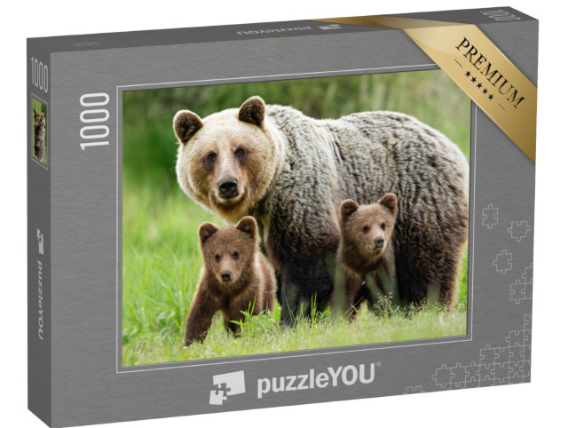 puzzle 1000 dílků „Samice medvěda hnědého se dvěma mláďaty“