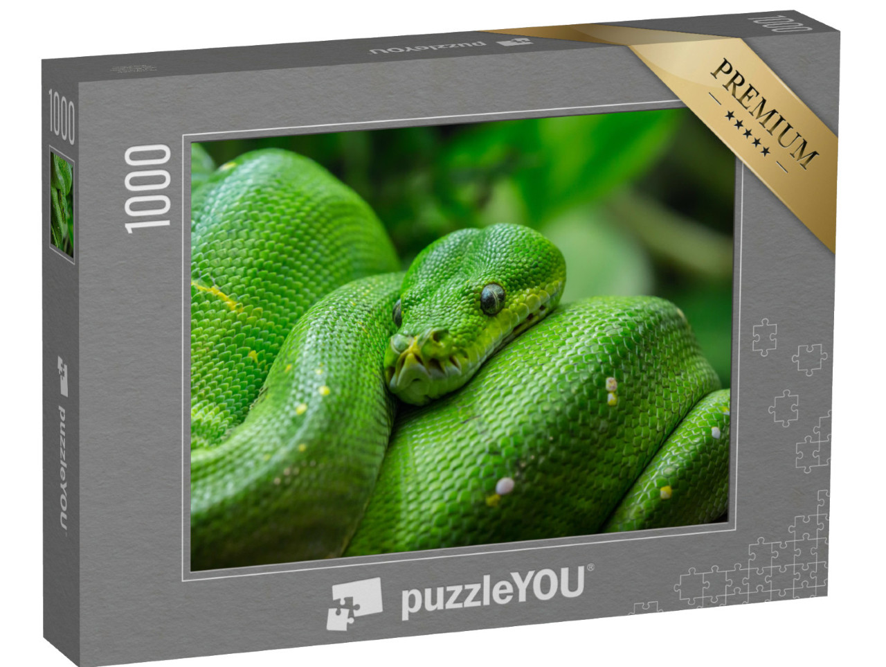 puzzle 1000 dílků „Detailní záběr krajty zelené“