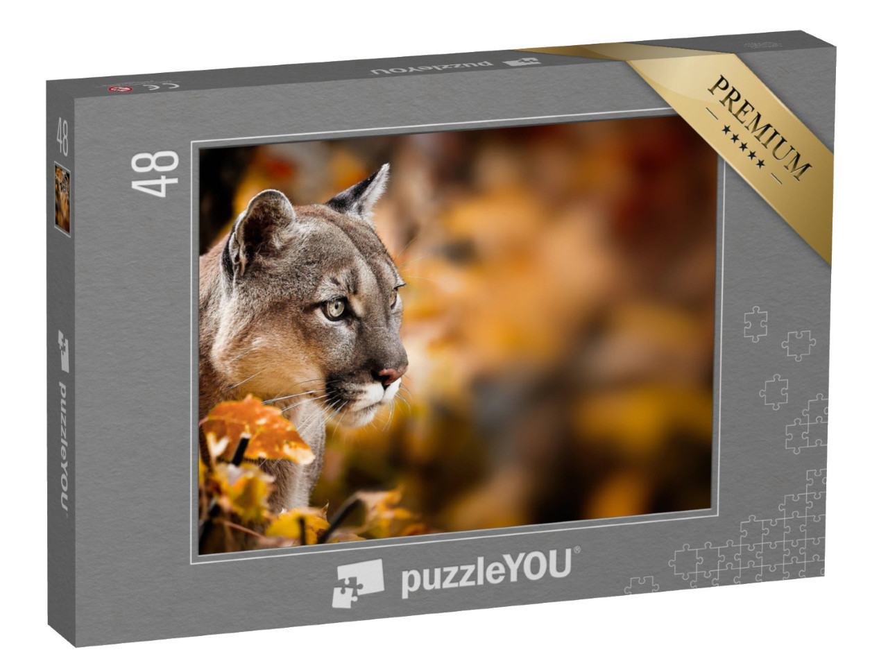 puzzle 48 dílků „Puma, známá také jako puma.“