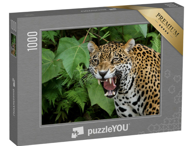 puzzle 1000 dílků „Jaguár v amazonském pralese“
