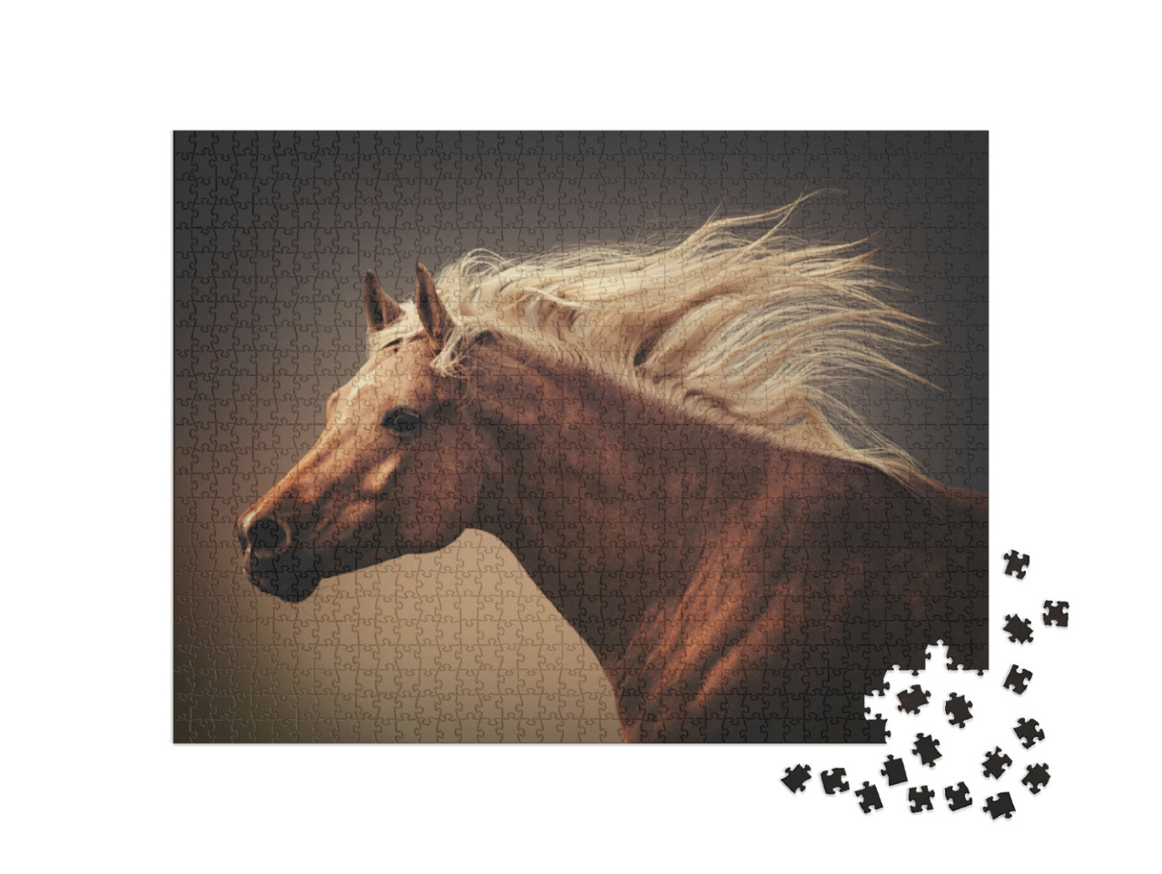 puzzle 1000 dílků „Kůň s vlající hřívou v prachu cvalu“