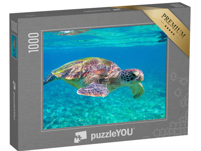 puzzle 1000 dílků „Mořská želva“