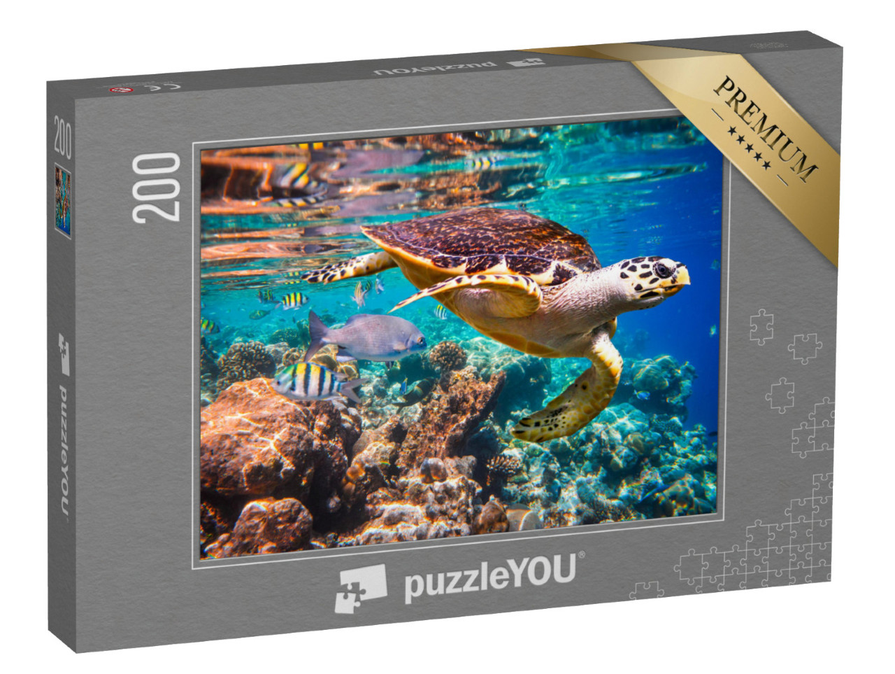 puzzle 200 dílků „Želva ostřížovec v korálovém útesu“