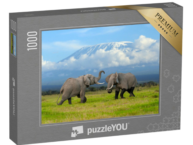 puzzle 1000 dílků „Slon před zasněženým Kilimandžárem, Afrika“
