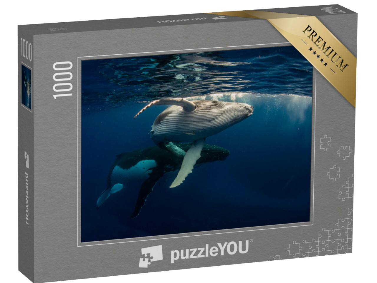 puzzle 1000 dílků „Keporkak s mládětem plovoucí těsně pod vodní hladinou“