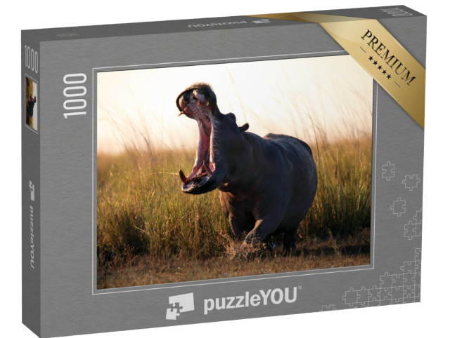 puzzle 1000 dílků „Hroch, Hippopotamus amphibius“