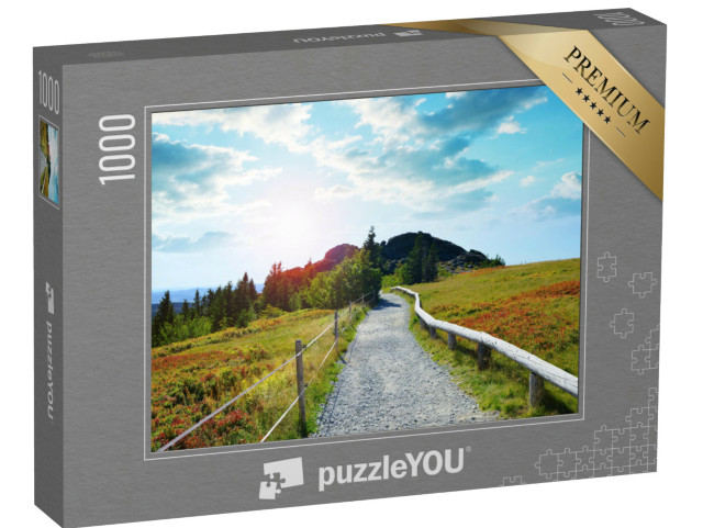 puzzle 1000 dílků „Podzimní krajina v Národním parku Bavorský les, Německo“