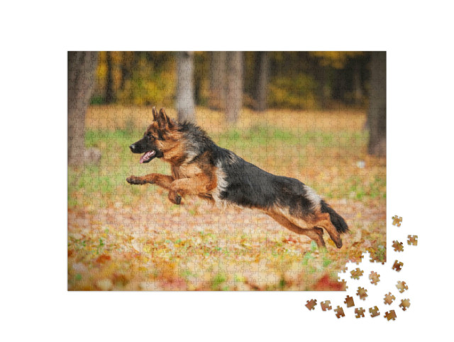 puzzle 1000 dílků „Německý ovčák hrající si na podzim“