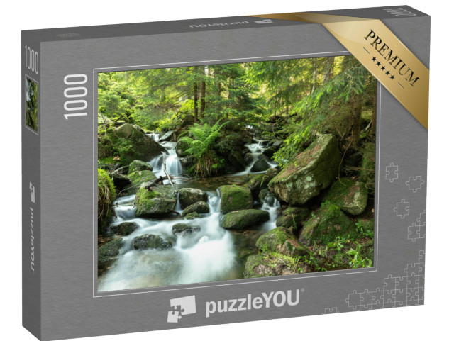 puzzle 1000 dílků „Divoká řeka, Orlické hory, Česká republika“