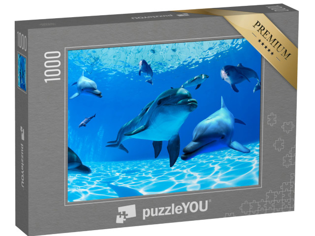 puzzle 1000 dílků „Delfíni plavou v hlubokých vodách“