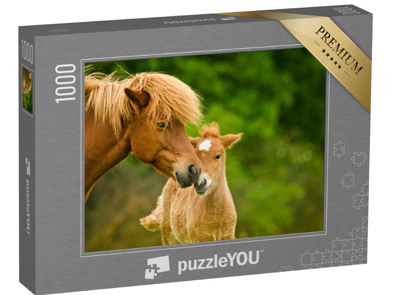 puzzle 1000 dílků „Kaštanově zbarvené islandské hříbě a jeho matka“