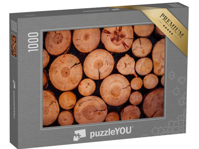 puzzle 1000 dílků „Část dřeva s prasklinami a letokruhy“