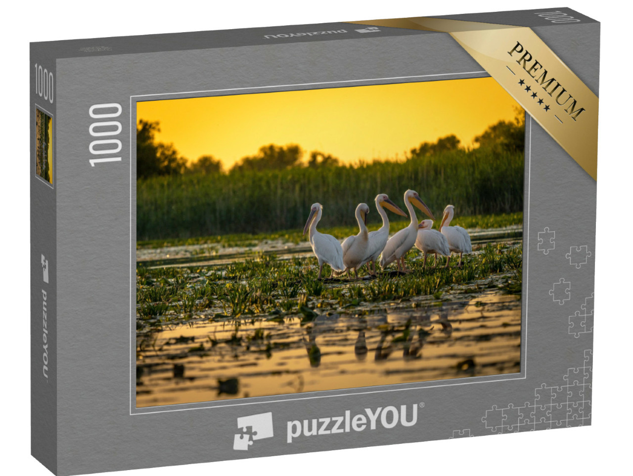 puzzle 1000 dílků „Pelikáni při západu slunce, Dunaj, Rumunsko“