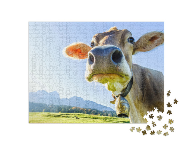 puzzle 1000 dílků „Kráva na Kaiser Mountains“