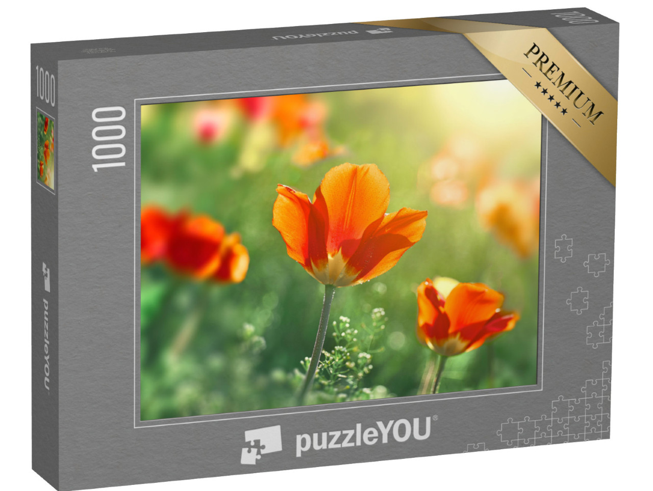 puzzle 1000 dílků „Tulipány rozkvétají před západem slunce“