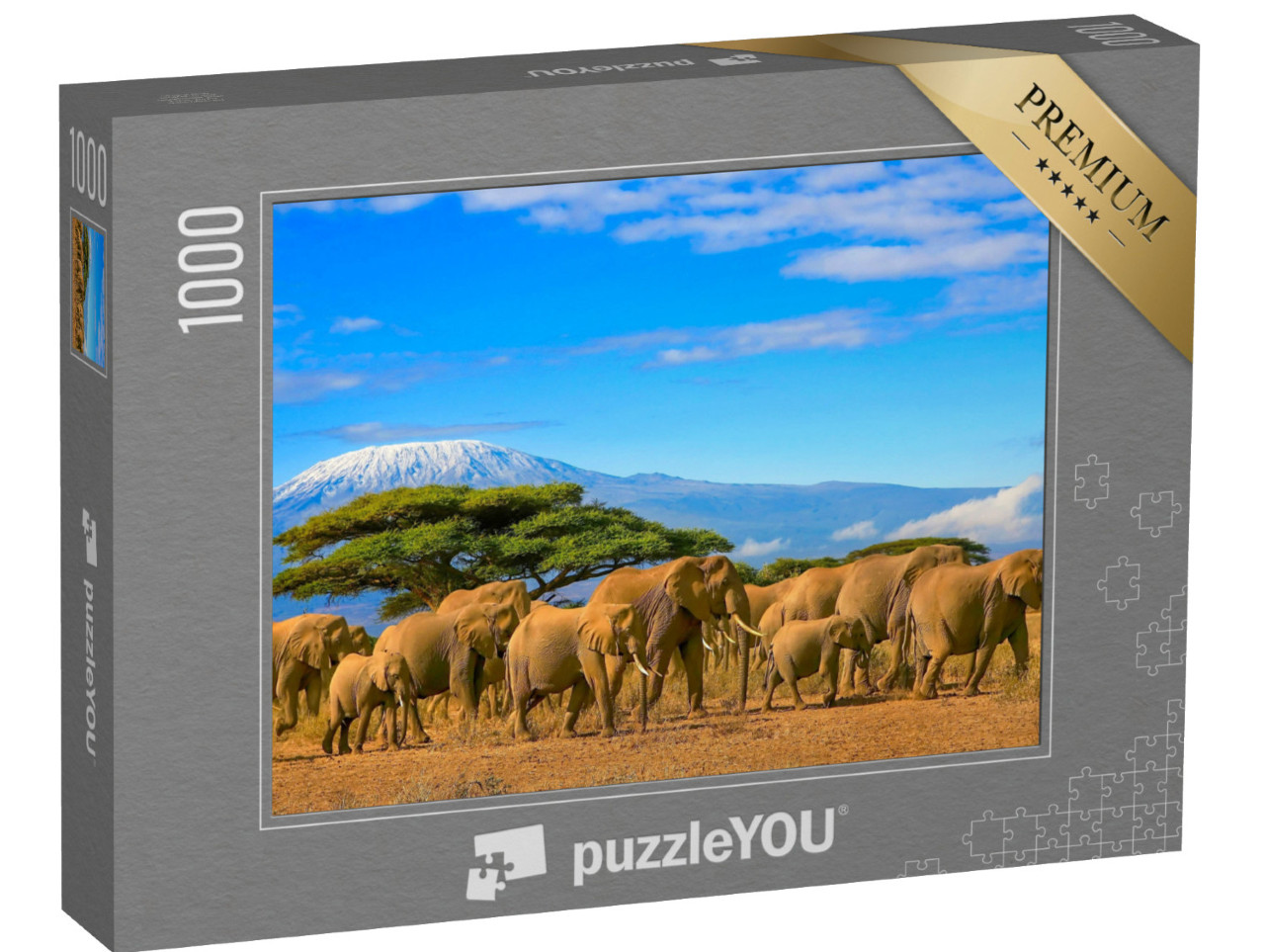 puzzle 1000 dílků „Stádo slonů afrických před horou Kilimandžáro, Afrika“