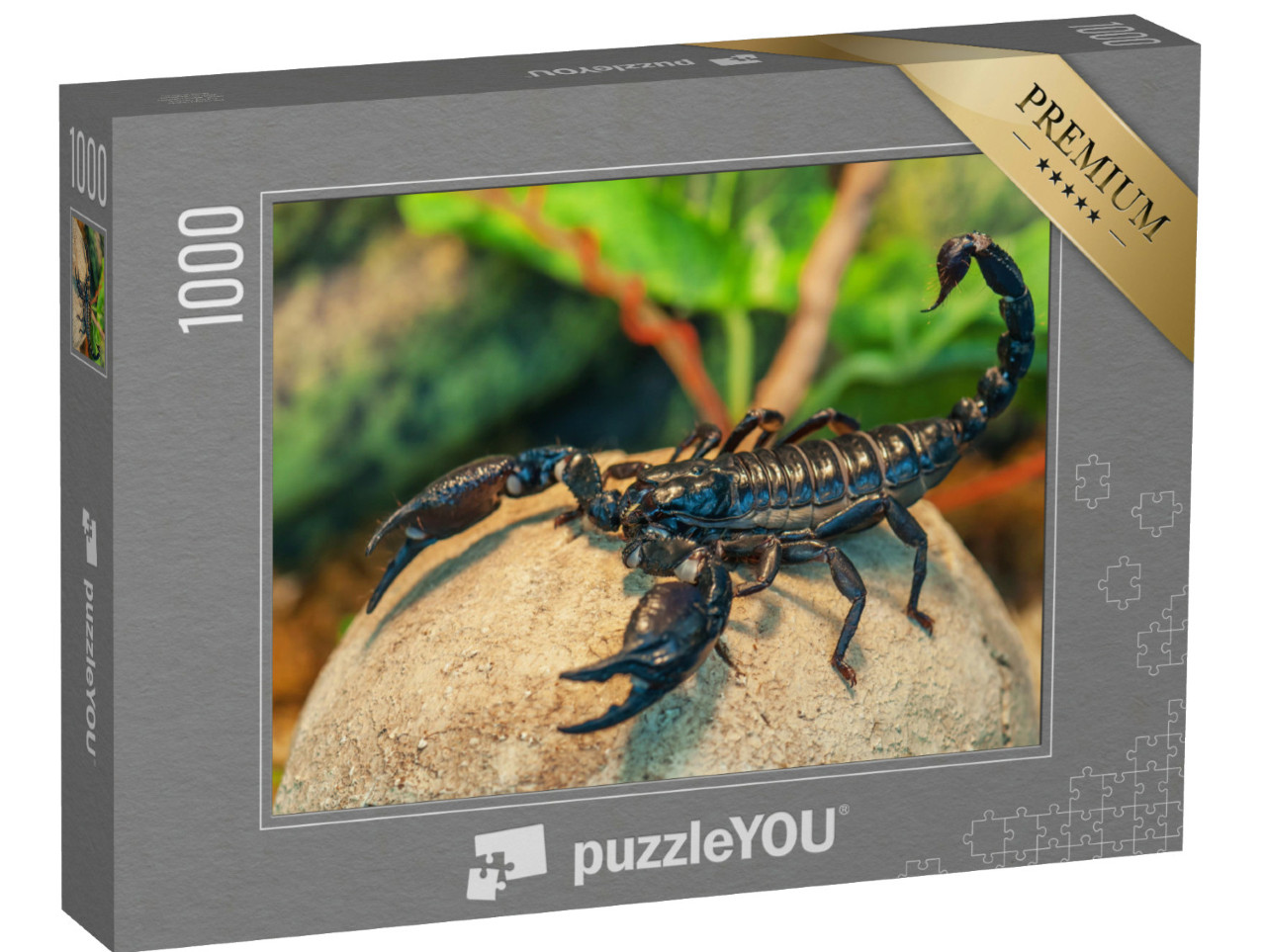 puzzle 1000 dílků „Škorpion černý, známý také jako škorpion císařský“