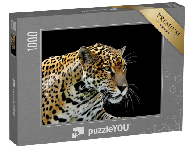 puzzle 1000 dílků „Krásný leopard“