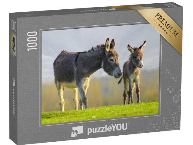 puzzle 1000 dílků „Roztomilé šedé oslí mládě a matka na květinové louce“