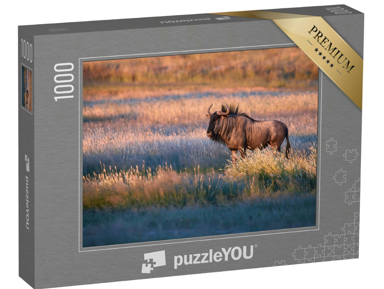 puzzle 1000 dílků „Modrý pakůň ve večerním světle savany Kalahari“