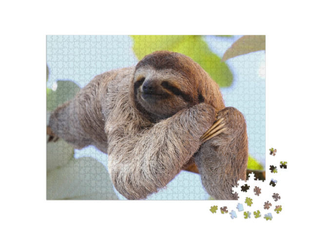 puzzle 1000 dílků „Šťastný lenochod visí na stromě“