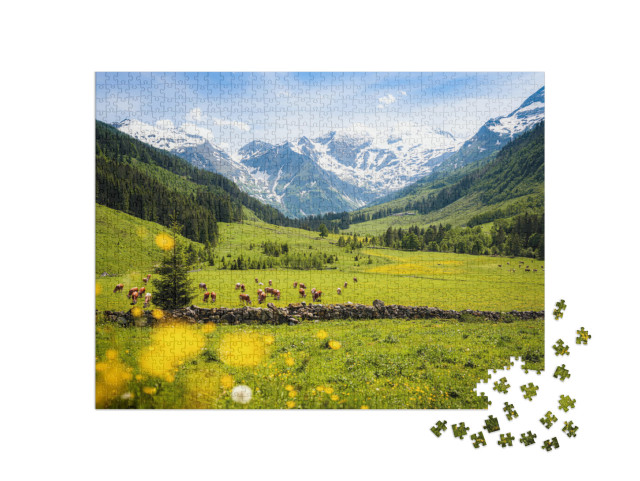 puzzle 1000 dílků „Venkovská alpská krajina s kravami, Národní park Vysoké Taury“