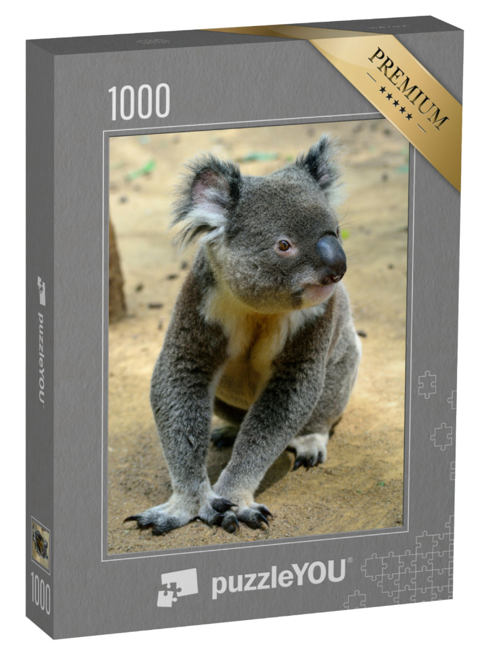 puzzle 1000 dílků „Koala, sedící na zemi, Queensland, Austrálie“