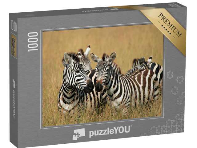 puzzle 1000 dílků „Zebry stepní v savaně, Maasai Mara, Keňa“