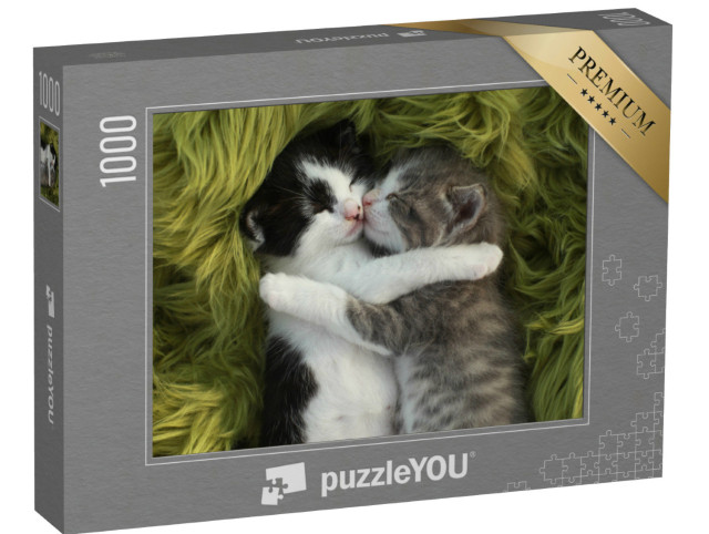 puzzle 1000 dílků „Dvě plyšová koťata“