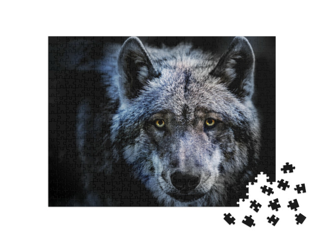 puzzle 500 dílků „Portrét vlka“