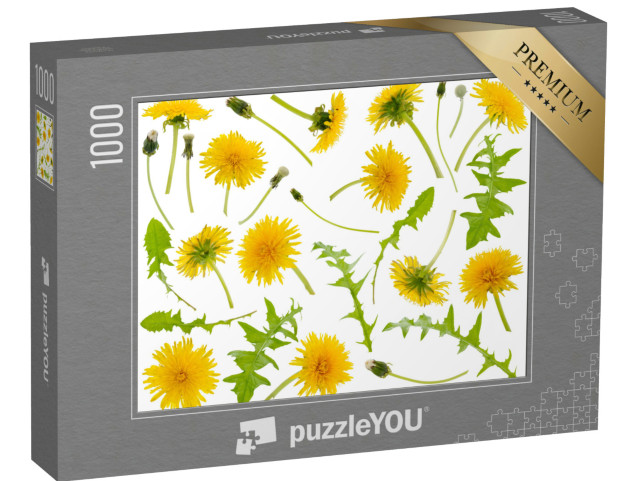 puzzle 1000 dílků „Mnoho žlutých pampelišek a pampeliškových listů v různých úh...“
