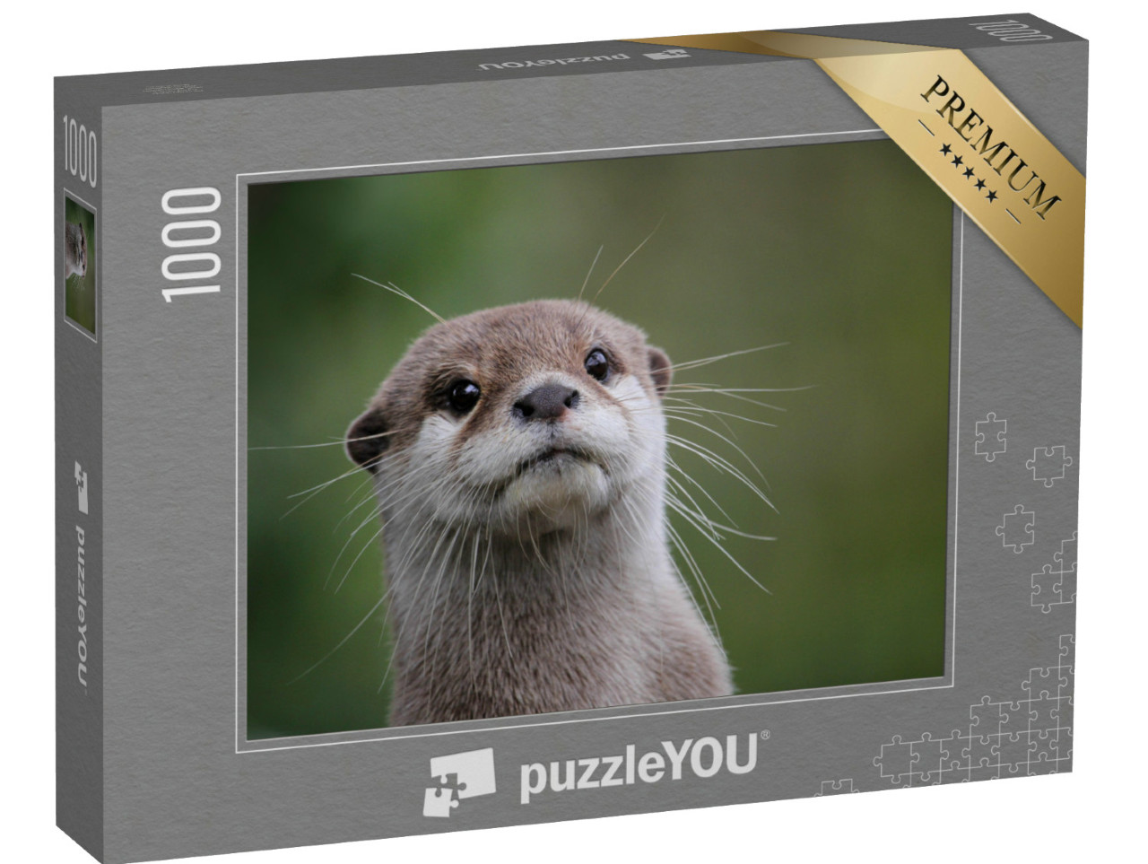 puzzle 1000 dílků „Záběr vydry malé s drápy zblízka“