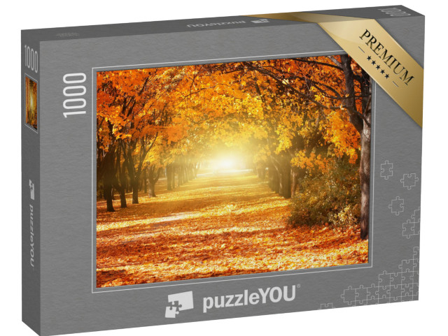 puzzle 1000 dílků „Alej zlatých podzimních stromů“